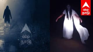 TN Fact check: நள்ளிரவில் நடமாடிய பேய்... விழுப்புரத்தில் பேய் இருந்தது உண்மையா ?