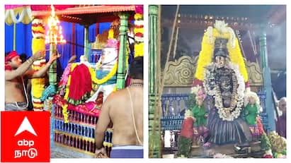Mayiladuthurai mayuranathar temple thulauchavam festival mayilammai pooja மயில் உருவம் எடுத்த சிவப்பெருமான் - எங்கே ஏன் தெரியுமா?