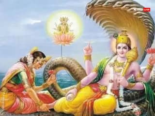 Ekadashi 2025 List: 2025મા આવશે 24 એકાદશી, યજ્ઞ કરતાં પણ સારુ ફળ આપે છે એકાદશી વ્રત,નોંધી લો તારીખ