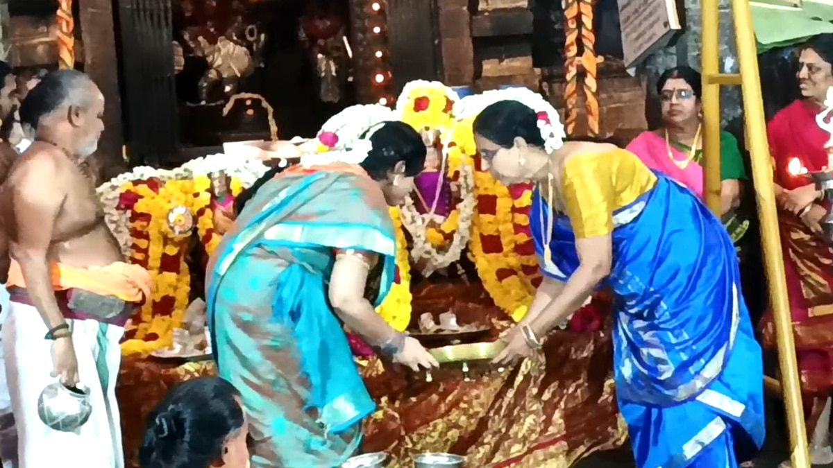 வைத்தீஸ்வரன் கோயிலில் முருகன் - வள்ளி திருக்கல்யாணம் - திரளான பக்தர்கள் தரிசனம்