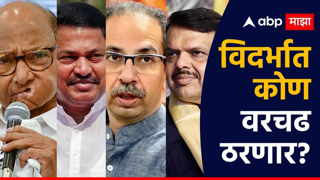 maharashtra assembly election 2024 ians matrize survey expected seats for vidarbha mahayuti and maha vikas aghadi maharashtra politics marathi news IANS- MATRIZE Survey: विदर्भात कोण वरचढ ठरणार? विधानसभेत मतदारांचा कौल कुणाला? ओपिनियन पोलची आकडेवारी समोर