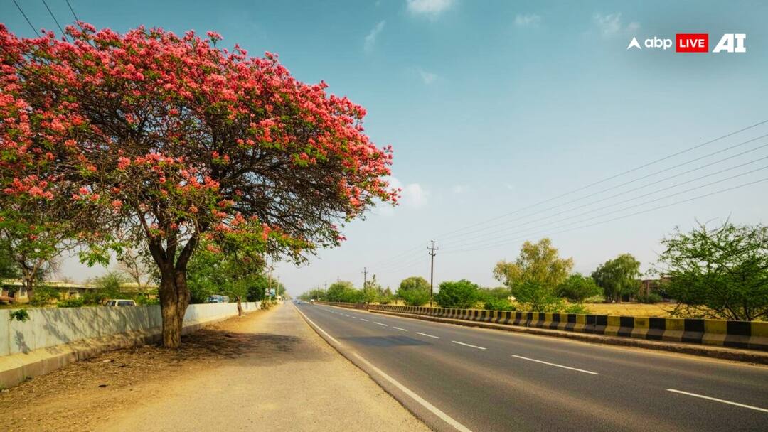 पूरा देश अगर हो जाए एकदम स्वच्छ तो क्या होगा, कितने लोगों की बच जाएगी जान? what will happen if the entire country becomes completely clean how many lives will be saved पूरा देश अगर हो जाए एकदम स्वच्छ तो क्या होगा, कितने लोगों की बच जाएगी जान?