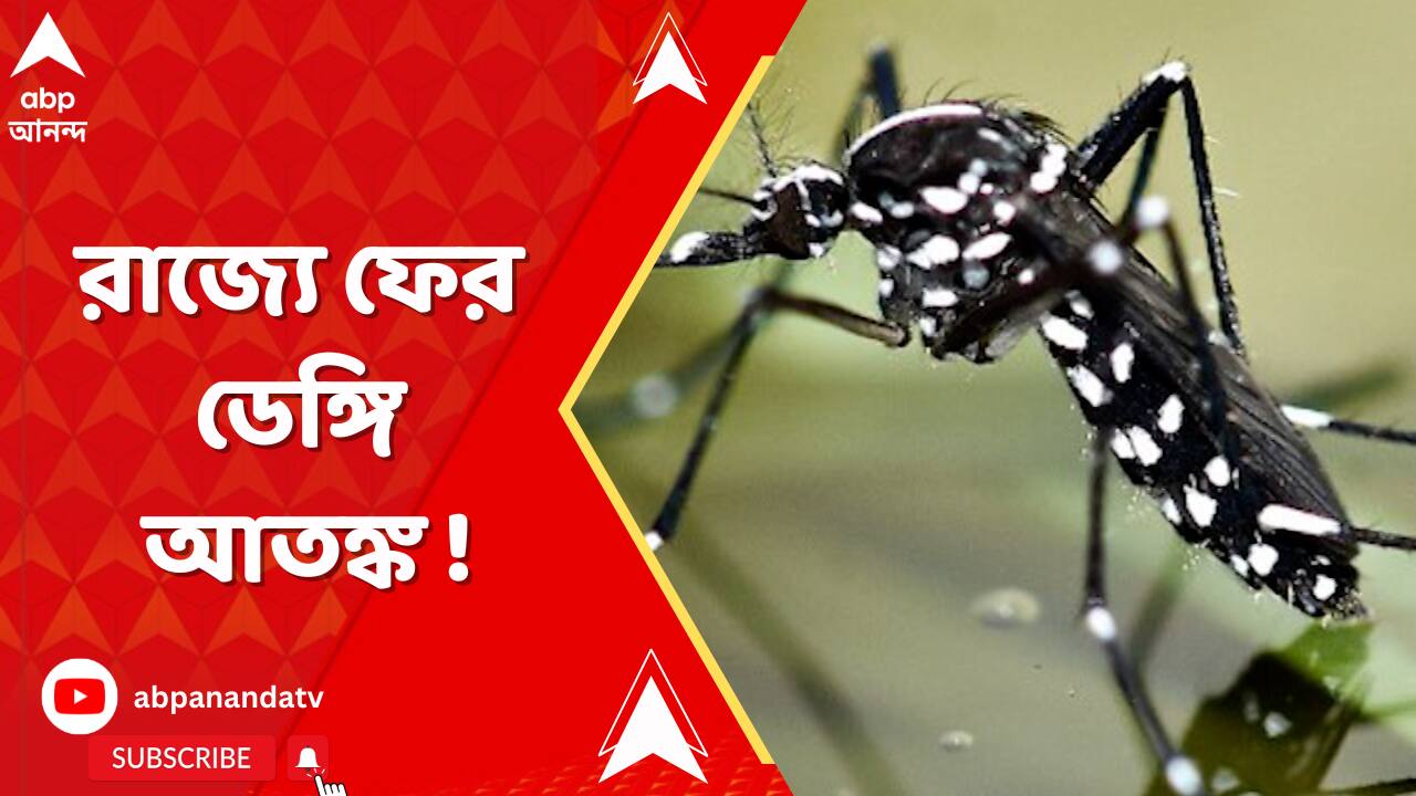 ABP News ABP News