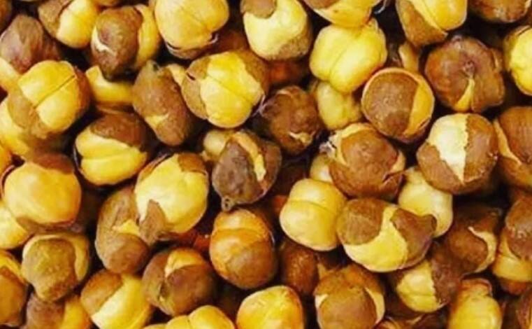 Chana health benefits include weight loss blood pressure   દરરોજ પ્રોટીનથી ભરપૂર શેકેલા ચણા ખાઓ, તમારા સ્વાસ્થ્યને થશે ગજબના ફાયદા 