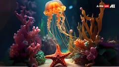 इन जानवरों में नहीं होता दिल, इसके बिना ताउम्र कैसे रहते हैं जिंदा?