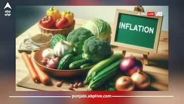 Retail Inflation Data: ਪ੍ਰਚੂਨ ਮਹਿੰਗਾਈ 14 ਮਹੀਨਿਆਂ ਦੇ ਸਭ ਤੋਂ ਉੱਚੇ ਪੱਧਰ 'ਤੇ ਪਹੁੰਚੀ, ਖੁਰਾਕੀ ਮਹਿੰਗਾਈ ਦਰ 10.87 ਫੀਸਦੀ ਰਹੀ