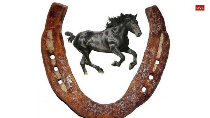 घोड़े की नाल - वास्तु के अनुसार घर में घोड़े की नाल टांगना बेहद शुभ माना जाता है. काले घोड़े की नाल मुख्य द्वार पर लगाने से सुरक्षा एवं सकारात्मक ऊर्जा मिलती है. ध्यान रहे, घोड़े की नाल अपने आप गिरी हुई होनी चाहिए. या फिर आपके सामने घोड़े के पैर से उतारी हुई होनी चाहिए.