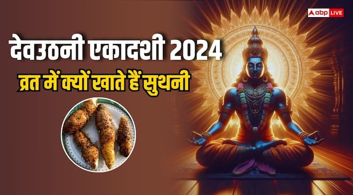 Dev Uthani Ekadashi 2024: देवउठनी एकादशी व्रत के कई नियम हैं. आप अपनी शारीरिक क्षमतानुसार जल, फलाहार या निर्जला व्रत रख सकते हैं. व्रत के दौरान सुथनी ( lesser yam) खाने का विशेष धार्मिक महत्व है.