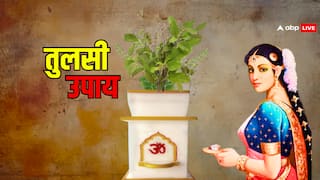 Tulsi: दीपक में तुलसी की सूखी लकड़ी जलाने से क्या होता है?