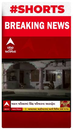 Amreli Lion Family : અમરેલીમાં ફરતો ફરતો સિંહ પરિવાર ઘરમાં આવી ગયો, જુઓ ઘરમાં મારી લટાર