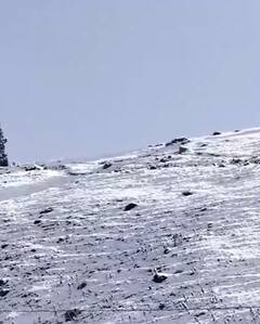 सोनमर्ग में हुई सीजन की पहली बर्फबारी | ABP Shorts