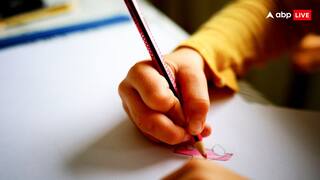 Delhi Nursery Admission 2025: दिल्ली में इस तारीख से शुरू होंगे प्राइवेट स्कूलों के नर्सरी एडमिशन, यहां देख लीजिए पूरा शेड्यूल