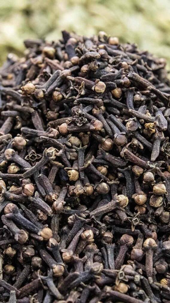 गमले में कैसे उगा सकते हैं लौंग का पौधा?