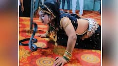 Woman Kisses King Cobra: :કિંગ કોબરાને પહેલા આ મહિલાએ કરી કિસ ત્યારબાદ નાચવા લાગી, જુઓ વીડિયો