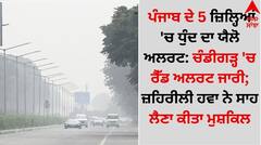 ਪੰਜਾਬ ਦੇ 5 ਜ਼ਿਲ੍ਹਿਆਂ 'ਚ ਧੁੰਦ ਦਾ ਯੈਲੋ ਅਲਰਟ: ਚੰਡੀਗੜ੍ਹ 'ਚ ਰੈੱਡ ਅਲਰਟ ਜਾਰੀ; ਜ਼ਹਿਰੀਲੀ ਹਵਾ ਨੇ ਸਾਹ ਲੈਣਾ ਕੀਤਾ ਮੁਸ਼ਕਿਲ