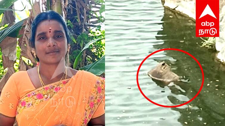 puducherry A woman's body was wrapped in a banana leaf and thrown in a thiruvakarai kal kuvary Crime : வாழை இலையில் மடித்து மூட்டை கட்டி கல்குவாரியில் வீசப்பட்ட பெண் சடலம்; என்ன நடந்தது ?