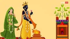 Tulsi Vivah Upay 2024 : तुळशी विवाहाच्या दिवशी 'हे' 3 उपाय कराच; घरात सुख-समृद्धीसाठी या गोष्टी महत्त्वाच्या