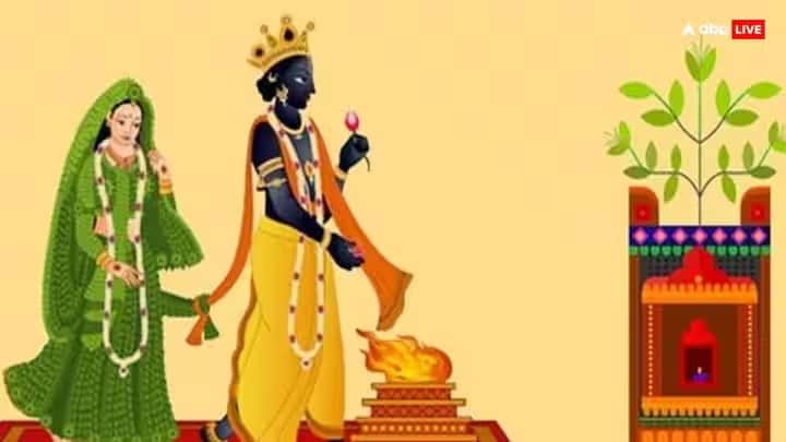 तुळशी विवाह 13 नोव्हेंबर 2024 रोजी म्हणजेच उद्या देशभरात साजरा केला जाणार आहे. या दिवशी शालिग्राम आणि तुळस यांचा विवाह केला जातो. या दिवशी काही उपाय केल्याने आपल्याला त्याचा चांगला लाभ मिळतो. तसेच, देवी लक्ष्मीचा वास राहतो.