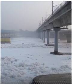 यमुना नदी की सतह पर तैर रहा जहरीला झाग | ABP NEWS SHORTS