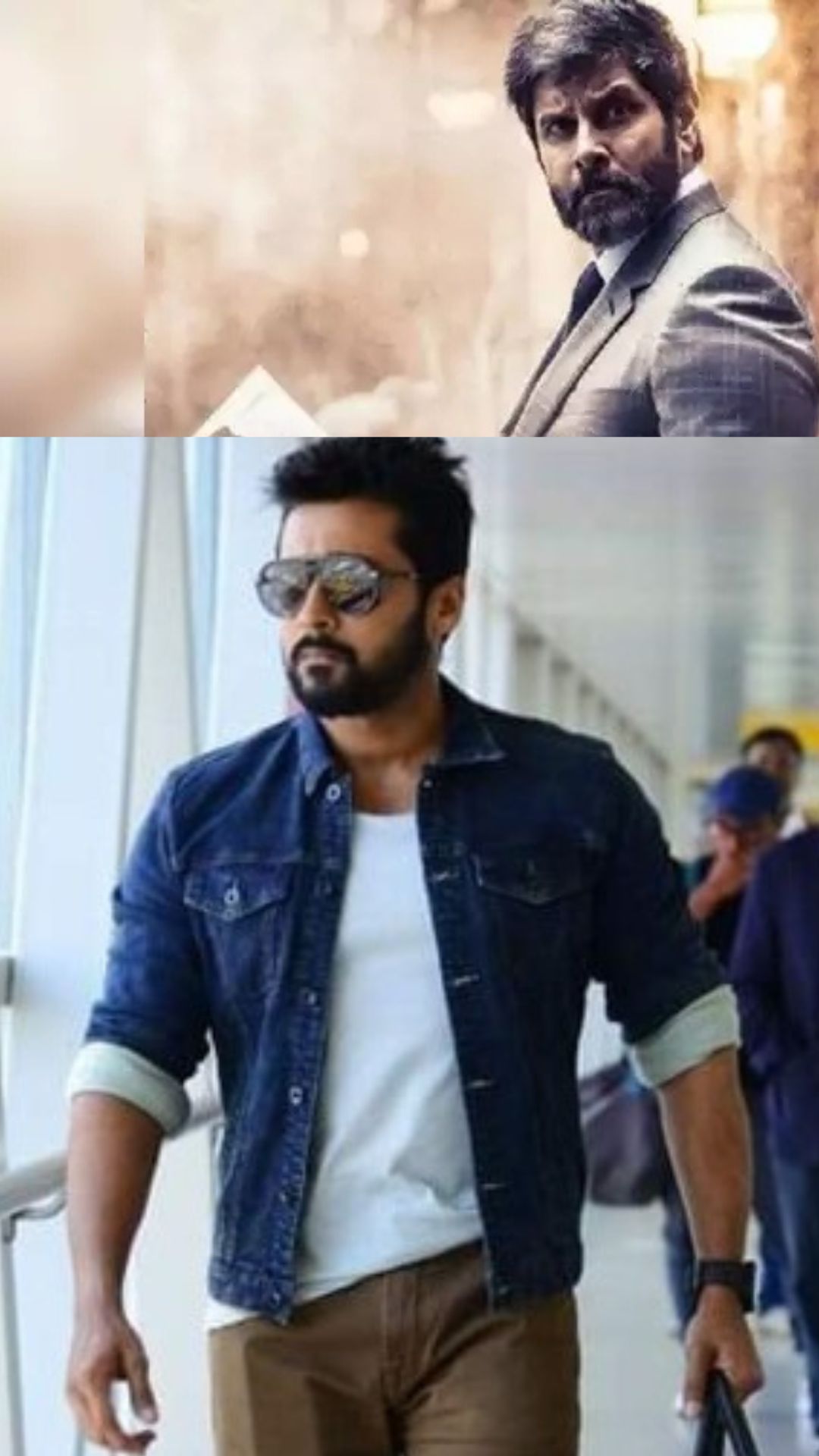 துருவ நட்சத்திரம்