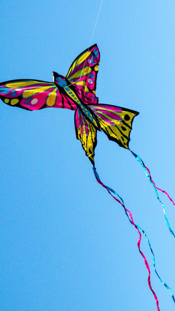 पाकिस्तान में पतंग कितने की मिलती है? भारत से कितनी सस्ती