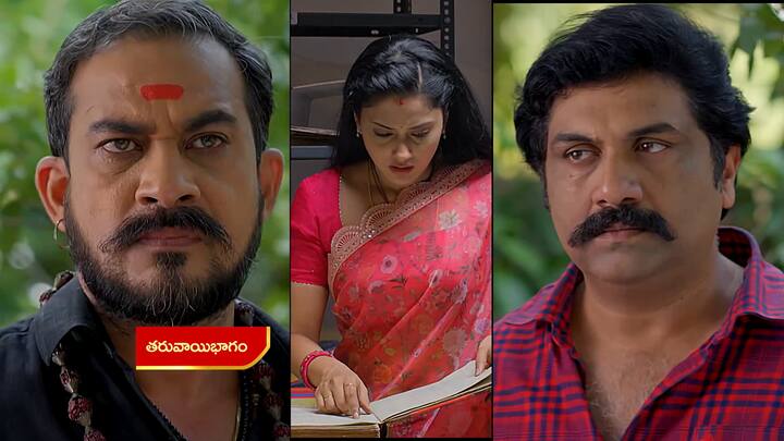 సత్యభామ నవంబరు 14 ఎపిసోడ్ లో...హాస్పిటల్లో రహస్యం తెలుసుకునేందుకు వెళ్లిన సత్యతో పాటూ క్రిష్ కూడా వెళతాడు. క్రిష్ పుట్టినప్పటి ఫైల్ కనిపెట్టేస్తుంది సత్య..