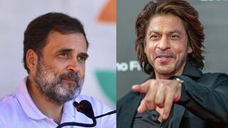 Shah Rukh Khan : காசு பாக்க நினைக்காதீங்க...ராகுல் காந்திக்கு ஷாருக்கான் கொடுத்த அட்வைஸ்