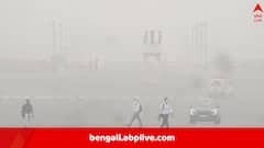 রাজধানী এখন গ্যাস চেম্বার, ধোঁয়াশায় ঢাকল চারিদিক, নামতে পারল না একাধিক বিমান