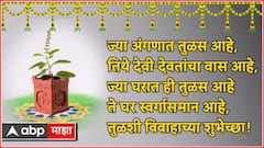 Tulsi Vivah 2024 Wishes : तुळशी विवाहाच्या शुभ मुहूर्तावर मित्र-मंडळी, नातेवाईकांना द्या खास शुभेच्छा; पाठवा 'हे' हटके मेसेजेस, फोटोज