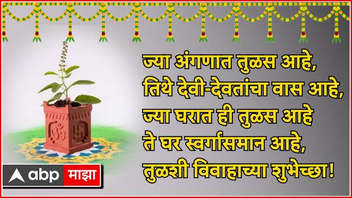 ज्या अंगणात तुळस आहे, तिथे देवी-देवतांचा वास आहे, ज्या घरात ही तुळस आहे ते घर स्वर्गासमान आहे, तुळशी विवाहाच्या शुभेच्छा!