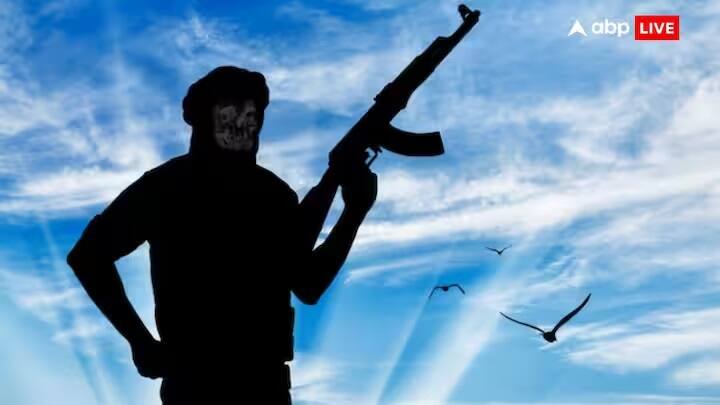 આતંકવાદી સંગઠનોને આપવામાં આવતા સમર્થન અને આશ્રયને કારણે પાકિસ્તાનમાં આતંકવાદી ગતિવિધિઓ ચાલુ છે.