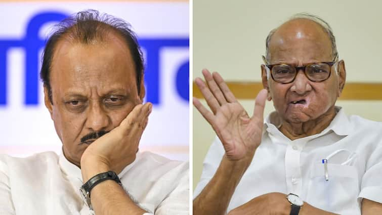 'Sharad Pawar Like God To Us': Calls For Reunion Grows In Ajit's NCP Camp After Maharashtra Polls