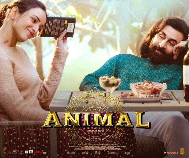 Animal: ‘Animal’ is another feather to Triptii Dimri’s hat of being the lucky charm of delivering blockbusters. While Triptii had a limited screen presence, she did not fail to strike a chord with the audience, adding to the film’s commercial success. This Ranbir Kapoor starrer created a rampage at the worldwide box office with an estimated collection of Rs. 915 crore.