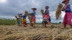 Weather Update:  সপ্তাহান্তে আবহাওয়ার পরিবর্তন, রাজ্যজুড়ে শীতের আমেজের সম্ভাবনা ! আজ কেমন থাকবে আবহাওয়া ?