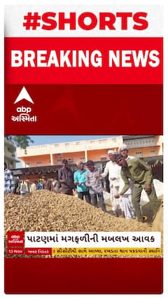 Patan Farmer | પાટણમાં મગફળીની મબલખ આવક, પોષણક્ષમ ભાવ ન મળતા ખેડૂતો નિરાશ