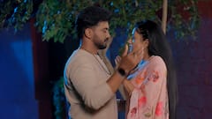 Satyabhama Serial Today November 13th Highlights : నిజం కనిపెట్టిన సత్య , హర్షని నిలదీసిన నందిని - సత్యభామ నవంబరు 13 ఎపిసోడ్ హైలెట్స్!