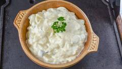 Mayonnaise Health Effects: স্ন্যাক্স-স্যান্ডুইচের সঙ্গে ভরপুর মেয়োনিজ খান ? ঝুঁকি বাড়বে শরীরে ?