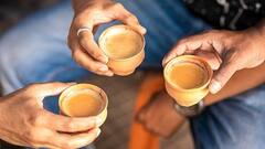 ચા પીવાના શોખીન છો તો જરૂર વાંચો આ સમાચાર, તમે તો ખોટા સમયે નથી પીતાને ચા