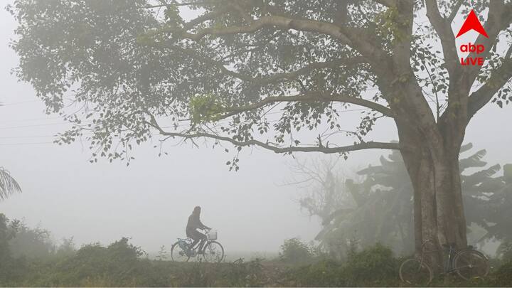 Weather Update: উইকেন্ডে শীতের আমেজ দক্ষিণবঙ্গের সব জেলাতেই। চলতি সপ্তাহেই আবহাওয়ার পরিবর্তন। পরিবেশ অনুকূল হবে উত্তুরে হাওয়া প্রবেশের।