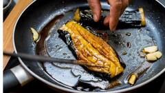 Mustard Oil Adulteration Test: রান্নাঘরে মজুত সর্ষের তেল খাঁটি না ভেজাল? পরখ করে দেখে নিন সহজেই