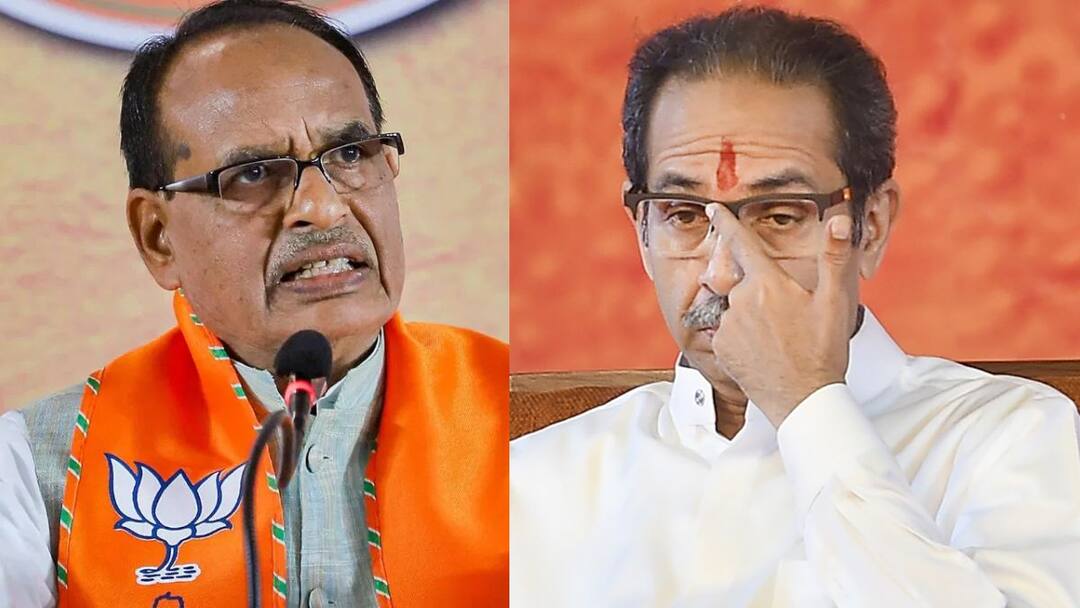Uddhav Thackeray worked to trouble Balasaheb in heaven, criticizes Shivraj Singh Chouhan Maharashtra Vidhansabha Election 2024 Maharashtra Politics Marathi News उद्धव ठाकरे यांनी बाळासाहेबांना स्वर्गात त्रास देण्याचा काम केलं, शिवराजसिंह चौहान यांची टीका