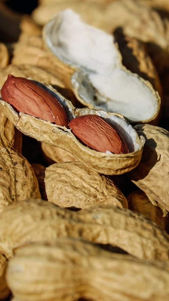 ਸਰਦੀਆਂ 'ਚ ਮੂੰਗਫਲੀ ਖਾਣ ਦੇ ਅਨੋਖੇ ਫਾਇਦੇ: ਗਰਮੀ, ਊਰਜਾ ਅਤੇ ਸਿਹਤ ਦਾ ਖਜ਼ਾਨਾ