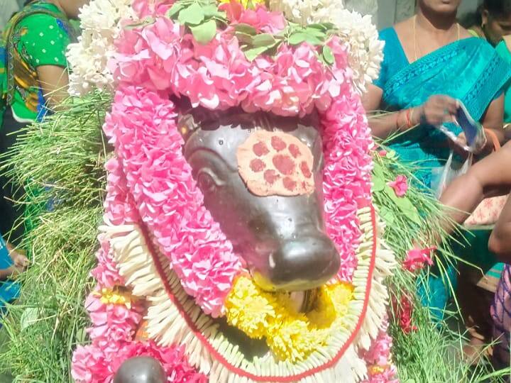 Aippasi pradosham 2024 Karur Koteswaran temple nandhi bhagavan special abishegam tnn ஐப்பசி பிரதோஷம்;  கோடீஸ்வரன் ஆலயத்தில் நந்தி பகவானுக்கு சிறப்பு அபிஷேகம்; பக்தர்கள் பரவசம்