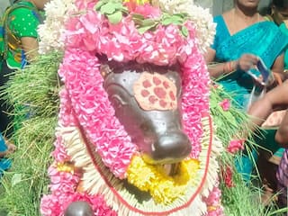 ஐப்பசி பிரதோஷம்;  கோடீஸ்வரன் ஆலயத்தில் நந்தி பகவானுக்கு சிறப்பு அபிஷேகம்; பக்தர்கள் பரவசம்