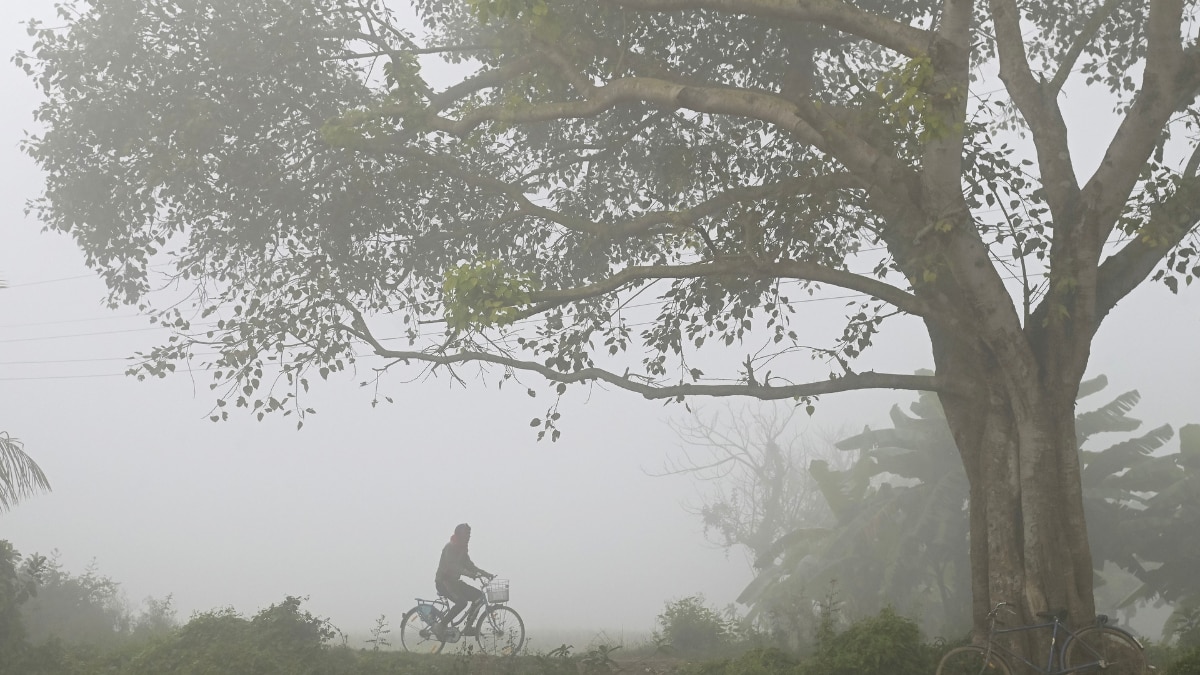 सुहानी ठंड के बीच प्रदूषण बढ़ा रहा टेंशन! मध्य प्रदेश में पारा 10 डिग्री के नीचे तो AQI 400 के करीब