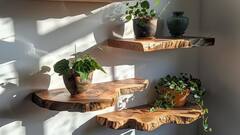 Cute Wooden Decor Accessories To Give Your Home A Natural Touch