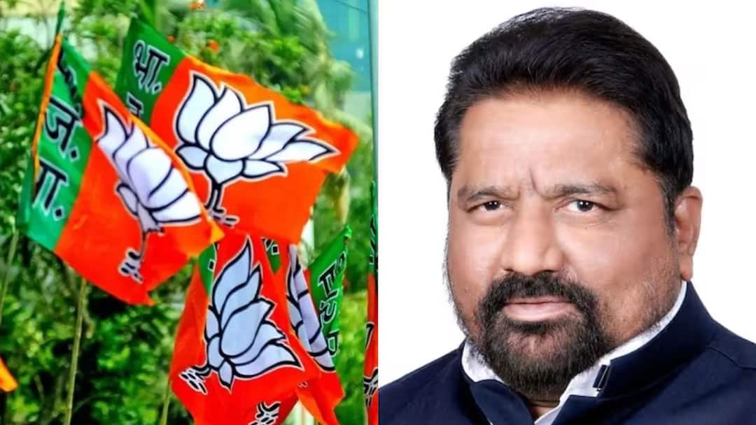 Harishchandra Chavan : निवडणुकीच्या रणधुमाळीत भाजपसाठी वाईट बातमी, दिंडोरीचे माजी खासदार हरिश्चंद्र चव्हाण यांचे निधन Former MP Harishchandra Chavan passed away Dindori Lok Sabha Constituency Nashik Marathi News Harishchandra Chavan : निवडणुकीच्या रणधुमाळीत भाजपसाठी वाईट बातमी, दिंडोरीचे माजी खासदार हरिश्चंद्र चव्हाण यांचे निधन