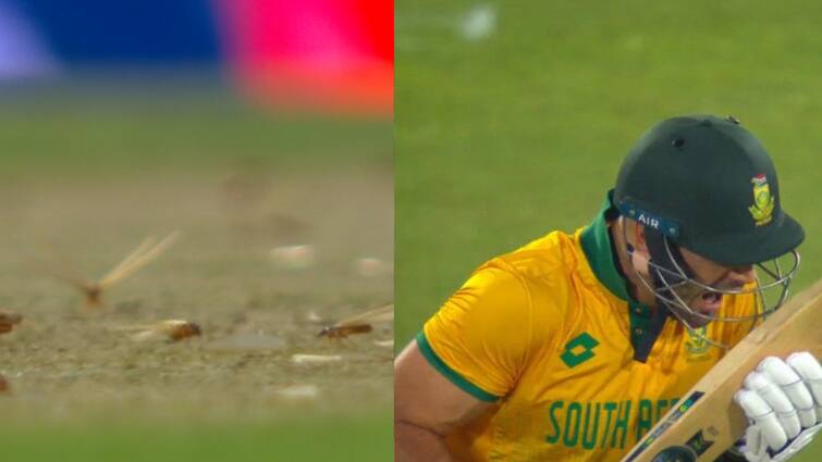 Ind vs SA T20 Winged termite surrounded over centurion cricket stadium IND vs SA Ind vs SA T20 : படையெடுத்த ஈசல் கூட்டம்.. பதறி ஓடிய வீரர்கள்.. பாதியில் நின்ற ஆட்டம்