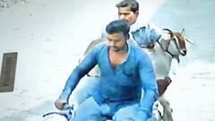 बस्ती में चोरों के हौसले बुलंद, दो बाइक सवारों ने बकरे पर किया हाथ साफ, CCTV में घटना कैद