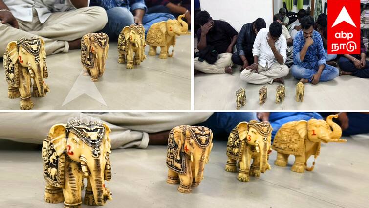 4 dolls worth Rs 2 crore made of elephant ivory were caught near Villupuram யானை தந்தத்தால் செய்த பொம்மைகள்! இத்தனை கோடியா? பகீர் கிளப்பும் பின்னணி